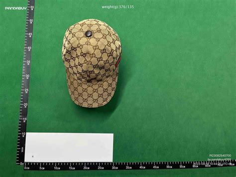 panda buy gucci cap